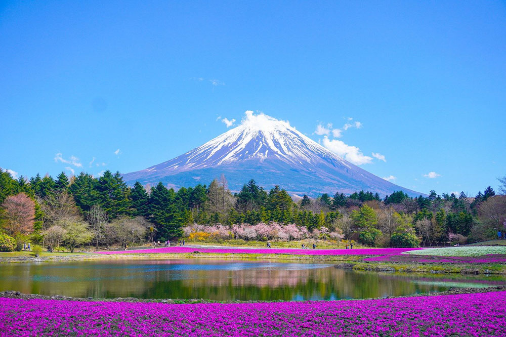 Widok na górę Fuji