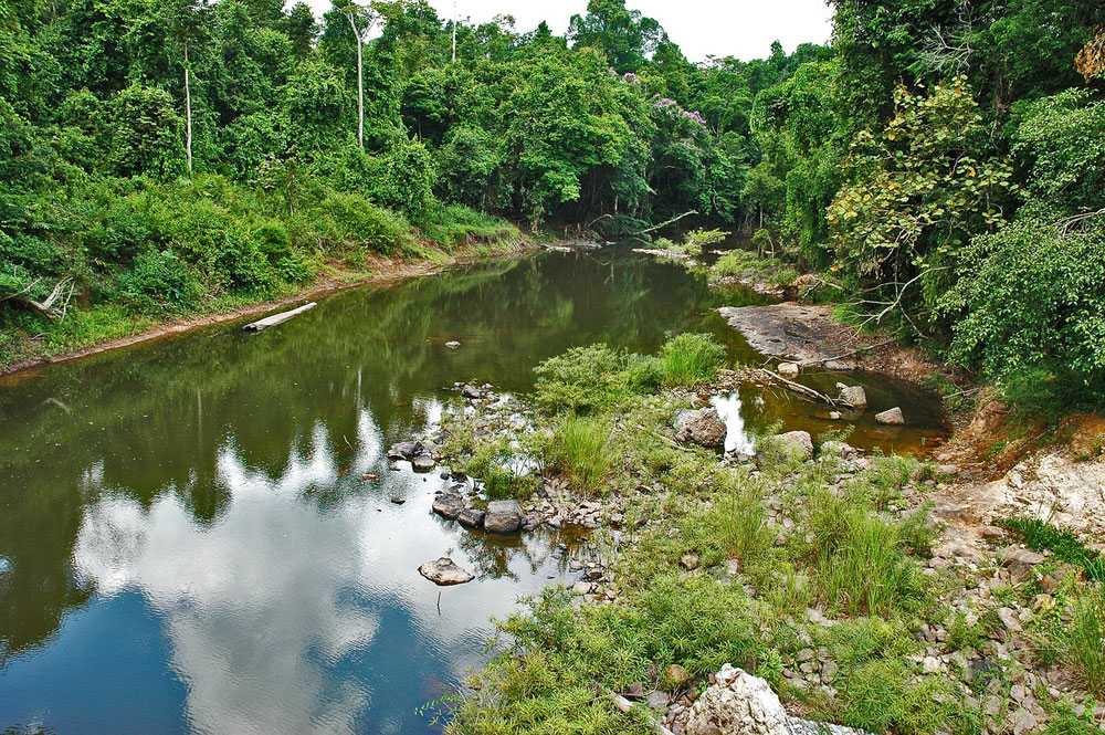 Park Narodowy Khao Yai